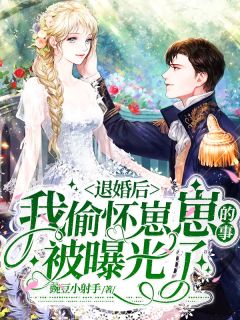 《退婚后，我偷怀崽崽的事被曝光了》沈怜权司夜章节目录免费阅读