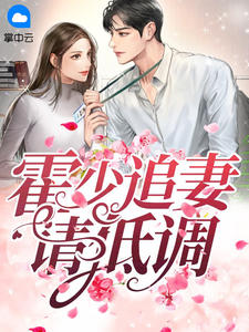 霍少追妻请低调精彩章节免费试读 陆笙霍沉小说结局无删节