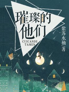 璀璨的他们韩宝珍左靖小说大结局免费试读