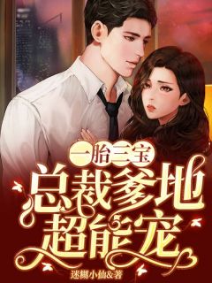 一胎三宝：总裁爹地超能宠小说全文在线阅读 夏晚晚陆寒爵全文完整版章节