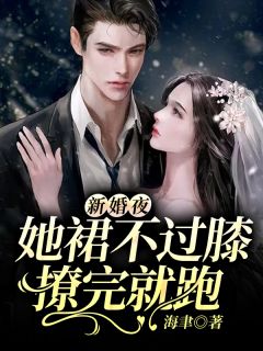 盛小念夜厉琛小说 《新婚夜，她裙不过膝撩完就跑》小说全文在线阅读