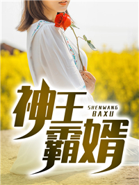 《神王霸婿》小说免费阅读 《神王霸婿》最新章节列表