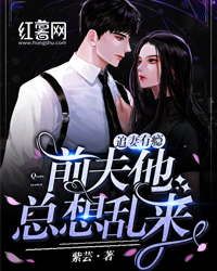 追妻有瘾，前夫他总想乱来完整小说目录在线阅读 (夏瑾顾南爵) 大结局无弹窗