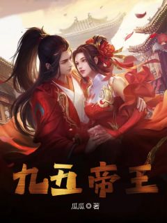 九五帝王周凡叶婉清小说全文章节阅读 九五帝王免费精彩章节