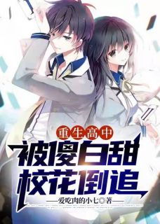 《重生高中：被傻白甜校花倒追》苏辰安小小小说精彩内容在线阅读