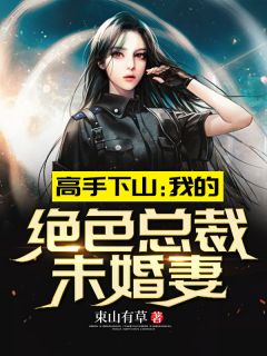 《下山找老婆》小说全集免费免费试读（秦阳林霜舞）
