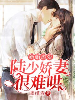 新婚虐爱：陆少娇妻很难哄小说全集免费免费试读（时芮薇陆修晏）