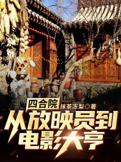 小说《四合院：从放映员到电影大亨》沈一飞秦京茹全文免费阅读