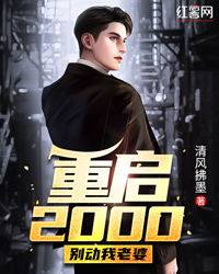重启2000，别动我老婆免费试读 唐辉白舞慧小说章节目录