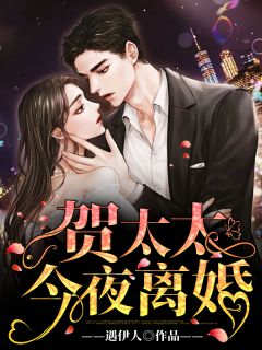 贺太太今夜离婚by遇伊人无防盗章在线阅读