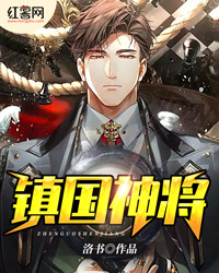 镇国神将楚向南王子云小说全文阅读