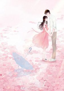 《重生娇妻她只想追夫》江黎厉承州精彩内容在线阅读