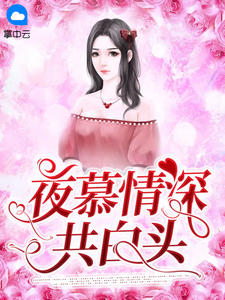 夜慕情深共白头慕晴夜君博全文在线免费阅读