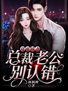 《双面娇妻：总裁老公别认错》免费试读 安暖陆斯谨小说章节目录