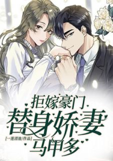 《拒嫁豪门：替身娇妻马甲多》小说大结局免费阅读 陆川柏慕冉小说阅读