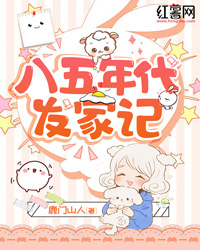 八五年代发家记完整全文阅读 陆砚沈清溪结局无删节