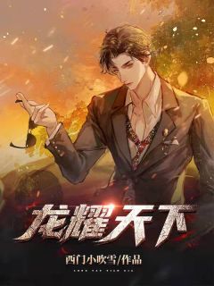 《龙耀天下》小说阅读 韩风赵璇小说