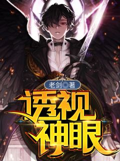 《透视神眼》小说大结局精彩阅读 叶枫李国华小说阅读