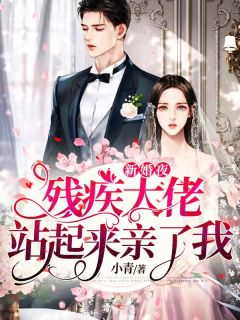 新婚夜，残疾大佬站起来亲了我慕时年易瑶免费在线免费试读