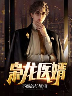 《枭龙医婿》陈天临苏婉璃完结版精彩试读