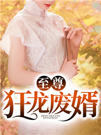 小说《至尊狂龙废婿》秦战宋若峰全文免费阅读