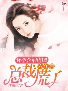 《怀孕含泪出国，六年后总裁慌了》沐雨橙凌司夜章节在线试读