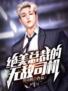 精品《绝美总裁的无敌司机》小说在线阅读 叶洐苏瑶小说全集无删减全文