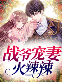 《战爷宠妻火辣辣》南杳陆战全本在线阅读