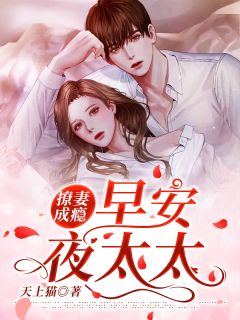 撩妻成瘾：早安，夜太太章节 撩妻成瘾：早安，夜太太小说目录阅读