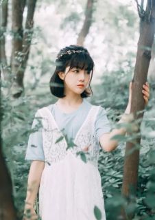 念念不忘白慕凝白慕凝景行止全本大结局阅读