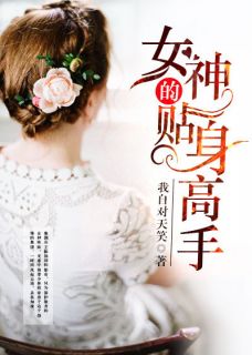 女神的贴身高手陈扬苏晴全本大结局阅读