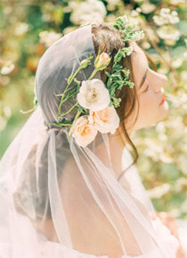 《豪门闪婚：顾先生又情不自禁了》小说章节目录精彩试读 苏娇娇顾以琛小说全文