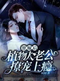 替嫁后，植物人老公撩宠上瘾完整小说目录在线阅读 (曲清宁慕邵年) 大结局无弹窗