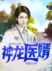 神龙医婿免费试读(段天王淑敏小说全本资源) 无广告