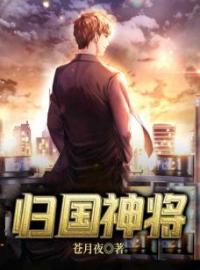 归国神将叶辰李宣仪小说结局完整全文