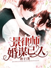 景律师，婚谋已久林小夕景晨小说_景律师，婚谋已久小说章节
