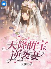 林小也陆奕琛小说阅读_林小也陆奕琛小说《天降萌宝逆袭妻》