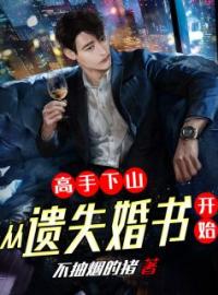《高手下山：从遗失婚书开始》沈风李婉婷最新章节全文免费阅读