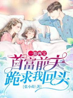 《一胎两宝：首富前夫跪求我回头》洛雅顾言城小说在线阅读