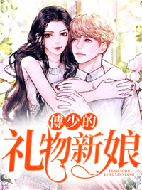 夏晗傅连城小说《傅少的礼物新娘》全文及大结局精彩试读