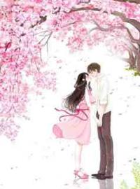 离婚后，前夫今天追妻火葬场了么枳婳顾若琛小说阅读_离婚后，前夫今天追妻火葬场了么文本在线阅读