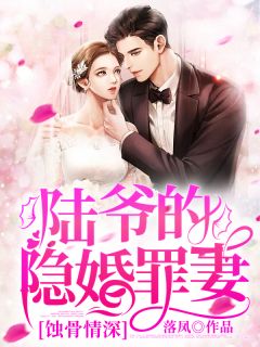 蚀骨情深：陆爷的隐婚罪妻唐安宁陆祁深结局完整全文