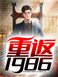 《重返1986》小说完结版免费阅读 武江山张丹娜小说阅读