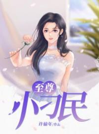 至尊小医圣全章节免费试读 主角叶峰志杜香怡沈秋月完结版