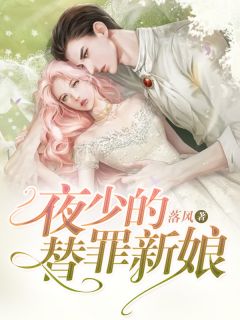 《夜少的新娘》完结版精彩试读 《夜少的新娘》最新章节列表