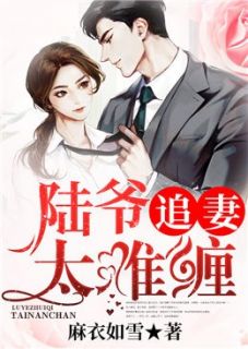 陆爷追妻太难缠莫浅巷陆深煜小说全文免费阅读