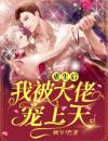 重生后，我被大佬宠上天