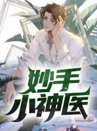无敌小圣手完整全文阅读 孙李欧阳冰小说结局无删节