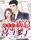 重生后，霸总喜当爹了