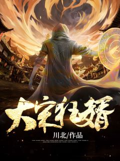 《大宋狂婿》萧扬赵湘灵章节列表免费试读